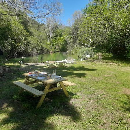 Petit Moulin Villa Le Cannet-des-Maures Eksteriør billede