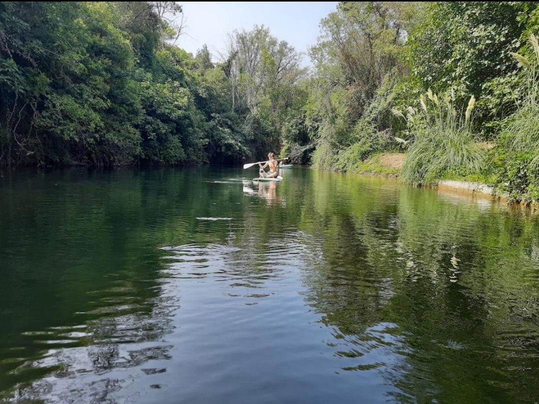 Petit Moulin Villa Le Cannet-des-Maures Eksteriør billede